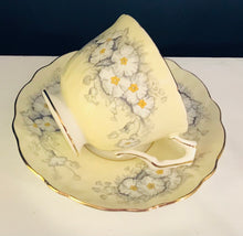 Load image into Gallery viewer, Aynsley Crocus Duo