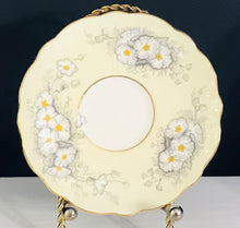 Load image into Gallery viewer, Aynsley Crocus Duo