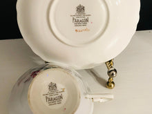 Load image into Gallery viewer, Paragon Blue Duo