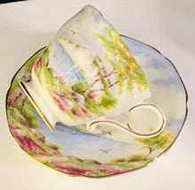 Load image into Gallery viewer, Pretty In Pink-Paragon Double Warrant Cliffs of Dover Teacup and Saucer