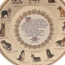 Load image into Gallery viewer, Aynsley “The Dog” 10 7/8 In Plate
