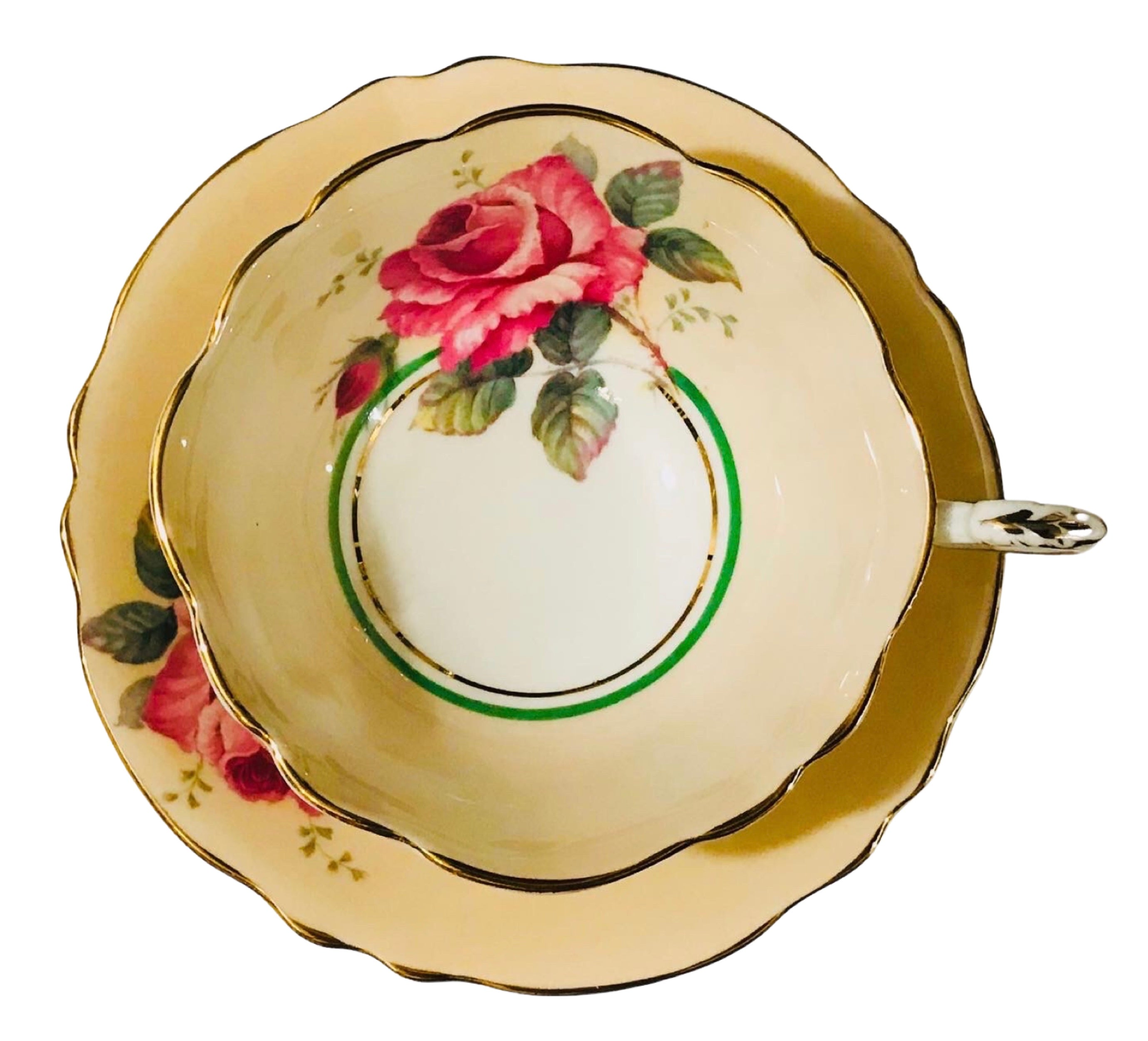 Peach Paragon Cabbage Rose – PrettyPinkAddiction