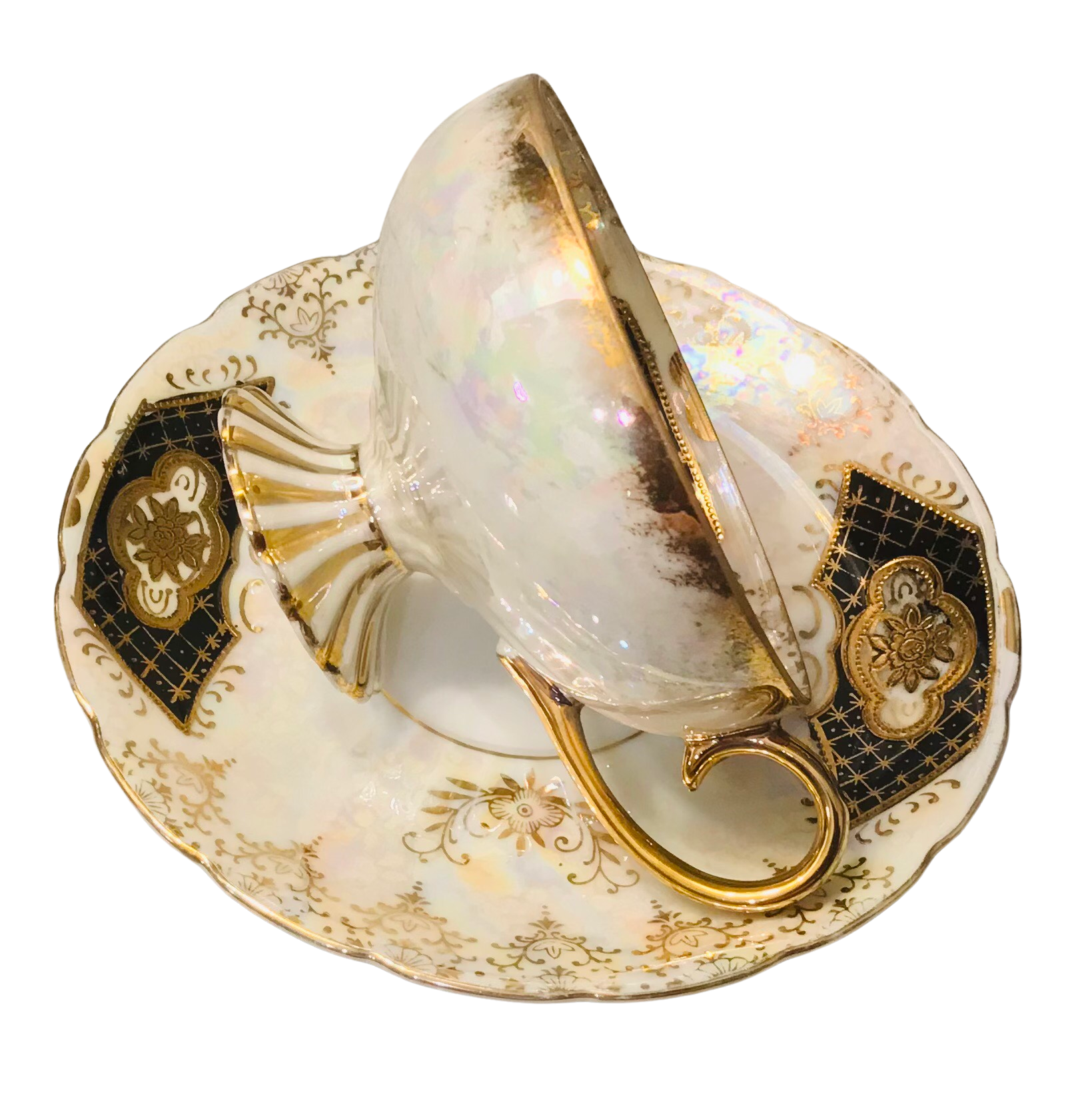 Royal Sealy Japan History