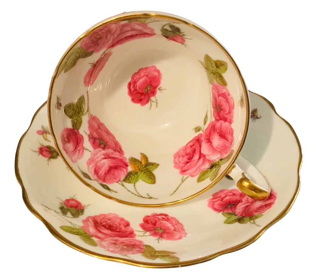 Foley China Century Rose