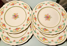Load image into Gallery viewer, Pretty in Pink-Grimwades Libya Dinner Plate
