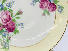 Load image into Gallery viewer, Rosina Roses Teacup and Saucer Number 5035
